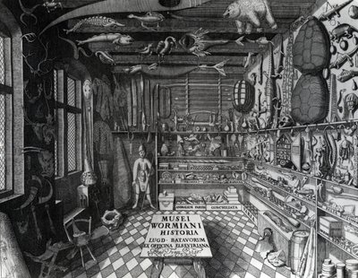 Frontispiece of Ole Worm